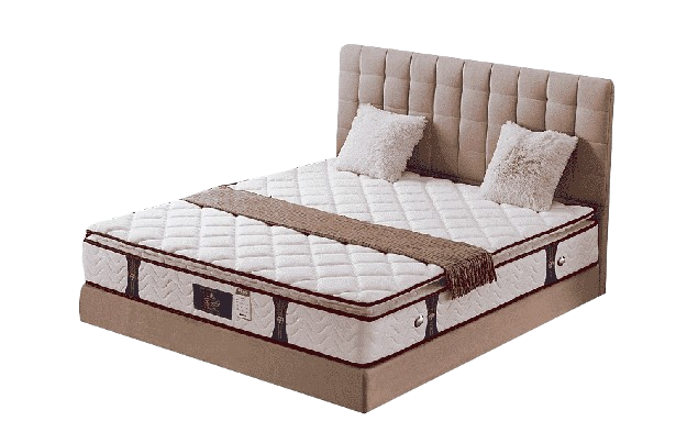 Orthopedic Mattress